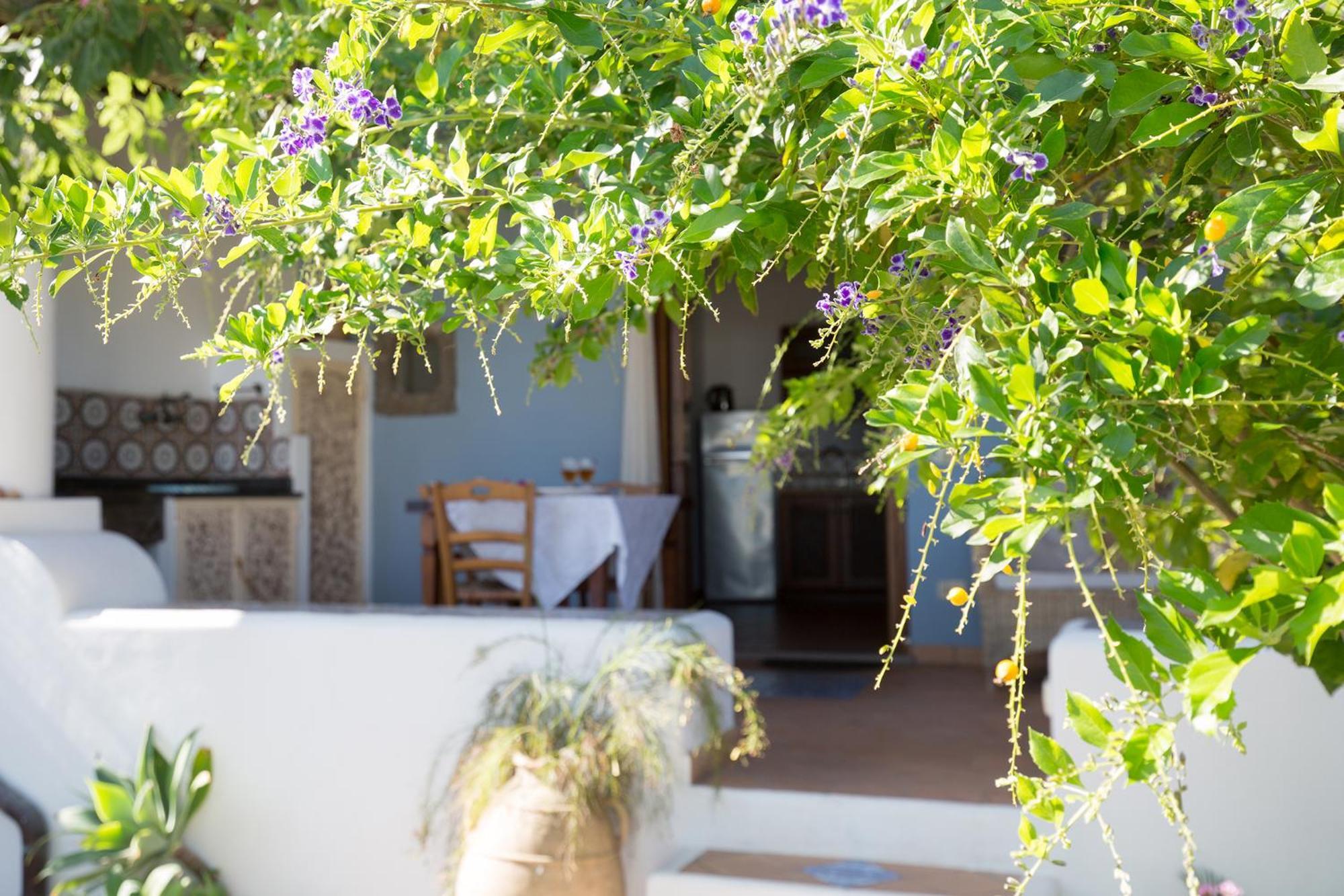 Villa Agrumeto 리파리 외부 사진